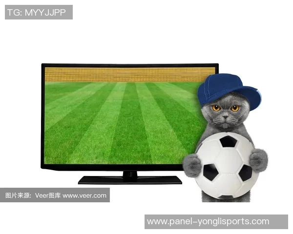 足球场上的猫咪奇遇记与球迷的温馨瞬间