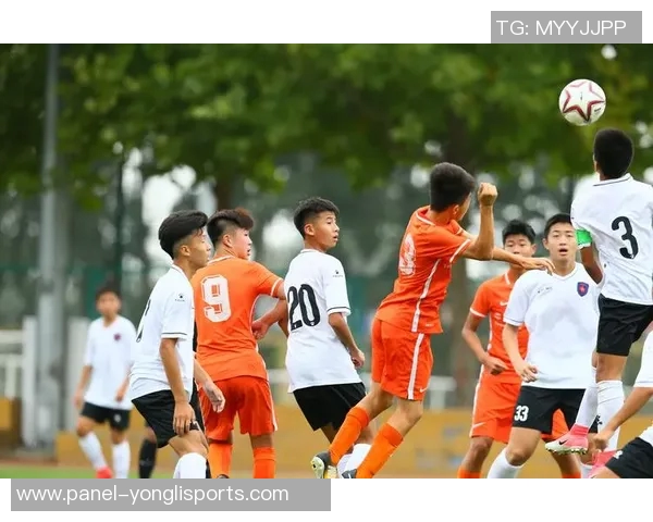 王鹏足球：从青训到职业联赛的成长之路与未来展望