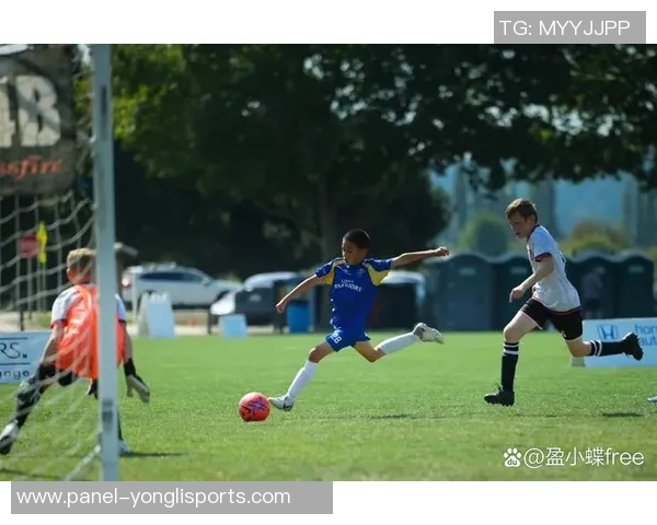 足球踢足球的魅力与技巧探讨让我们一起领略这项运动的无限精彩与激情